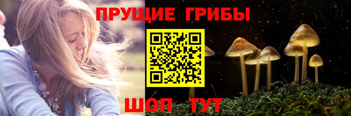 даркнет сайт  Псилоцибиновые грибы Magic Shrooms  Вход с VPN  Кизилюрт  Псилоцибиновые грибы Psilocybe 